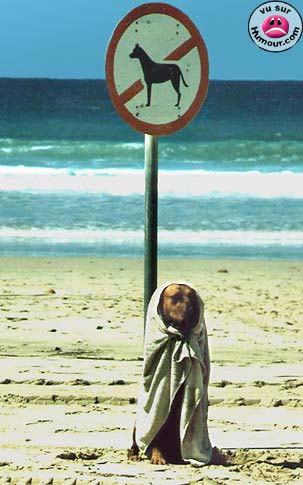 mission impossible